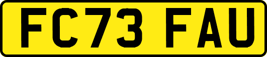 FC73FAU