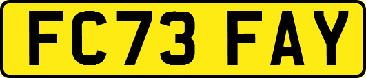 FC73FAY