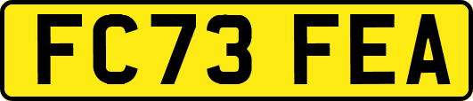 FC73FEA