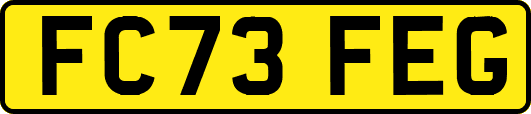 FC73FEG