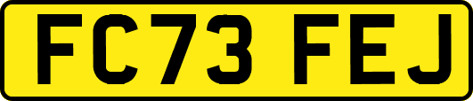 FC73FEJ
