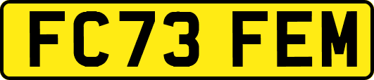 FC73FEM