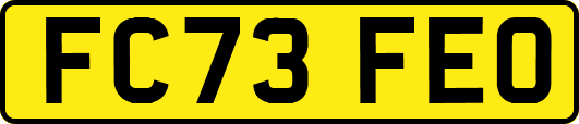 FC73FEO