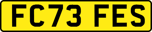 FC73FES