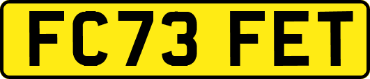 FC73FET