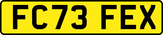 FC73FEX
