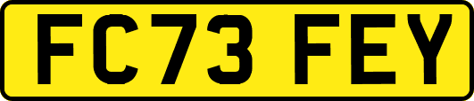 FC73FEY
