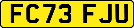 FC73FJU