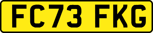FC73FKG