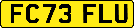 FC73FLU