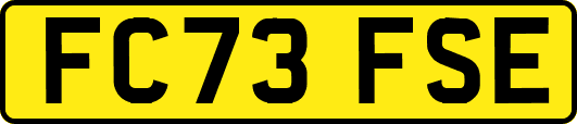 FC73FSE