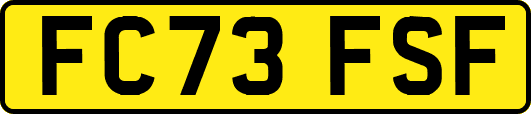 FC73FSF