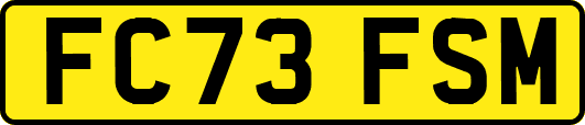FC73FSM