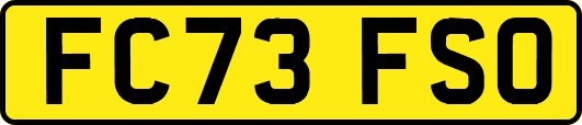 FC73FSO