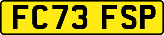 FC73FSP