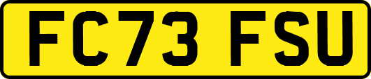 FC73FSU