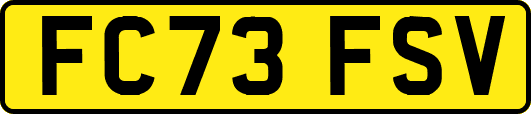FC73FSV