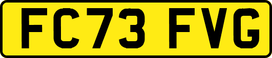 FC73FVG