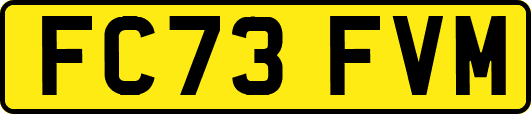 FC73FVM