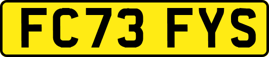 FC73FYS