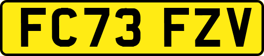 FC73FZV
