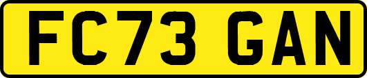 FC73GAN