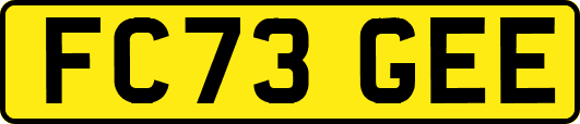 FC73GEE