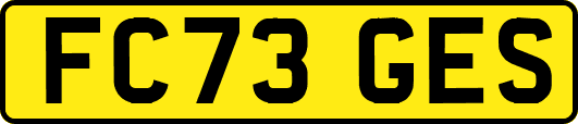 FC73GES