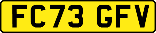 FC73GFV