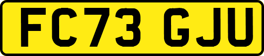 FC73GJU