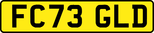 FC73GLD