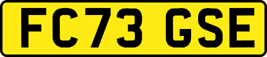 FC73GSE