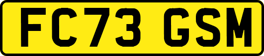 FC73GSM
