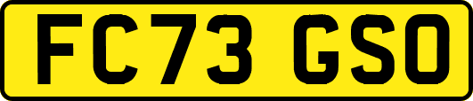 FC73GSO