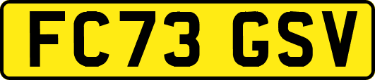 FC73GSV