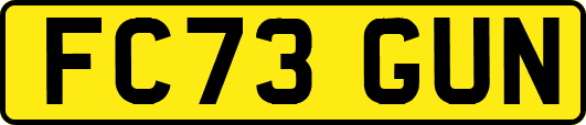 FC73GUN