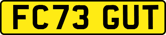 FC73GUT