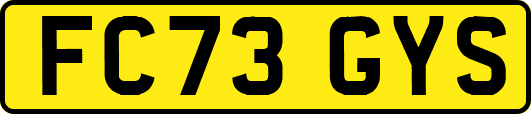 FC73GYS