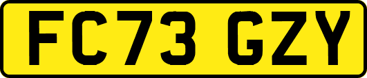 FC73GZY