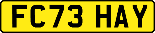 FC73HAY