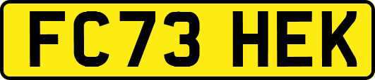 FC73HEK