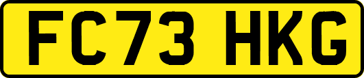 FC73HKG