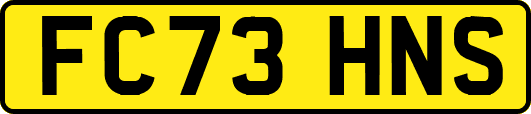 FC73HNS