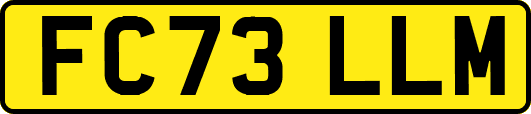 FC73LLM