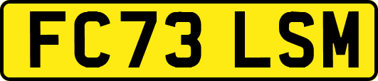 FC73LSM
