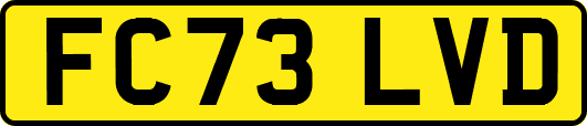FC73LVD