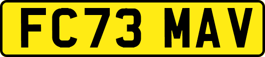 FC73MAV