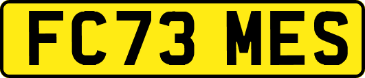 FC73MES