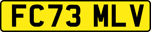 FC73MLV
