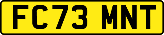 FC73MNT